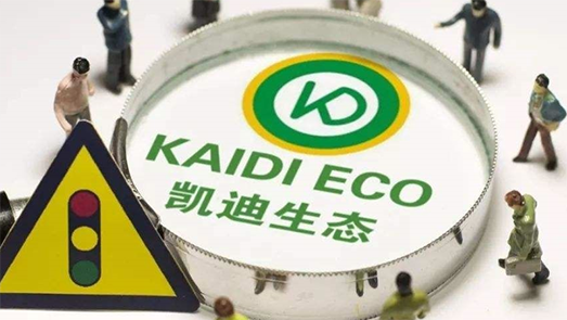 *ST凱迪小股東稱(chēng)無(wú)路可退 開(kāi)展司法重整等議案全部通過(guò)