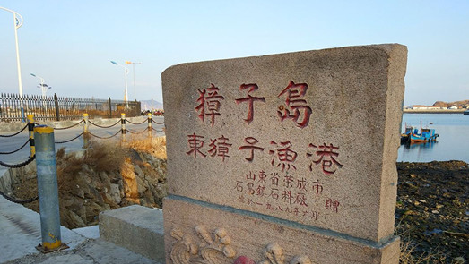 大量外購扇貝再加工？深交所再對獐子島發(fā)關(guān)注函